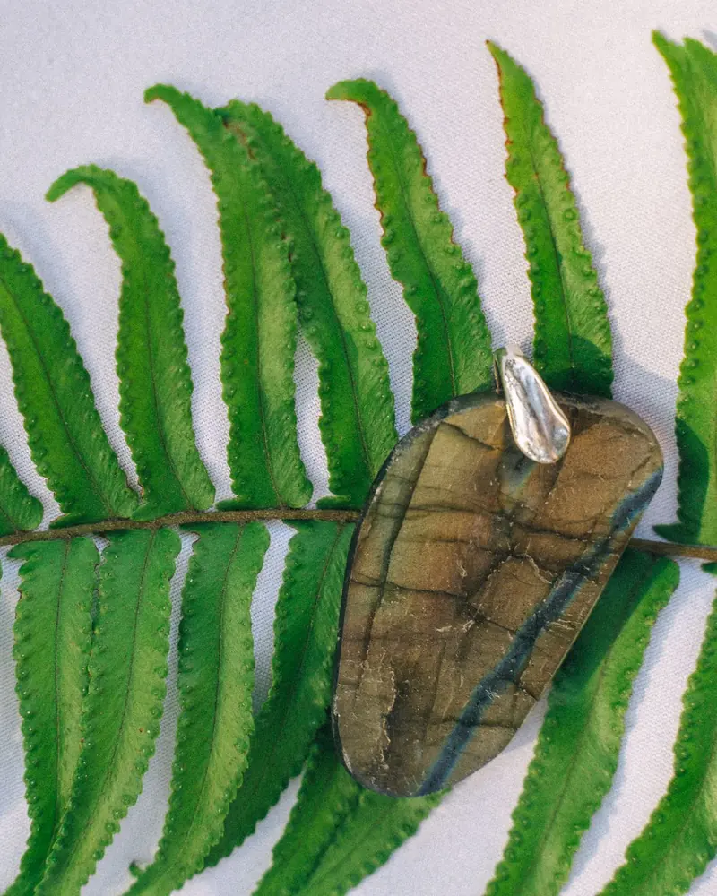 A labradorite pendant resting on a green fern leaf